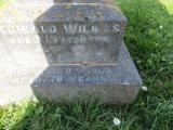 image of grave number 891019
